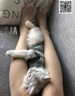 疯狂七十二小时电影_BD英语在线手机播放